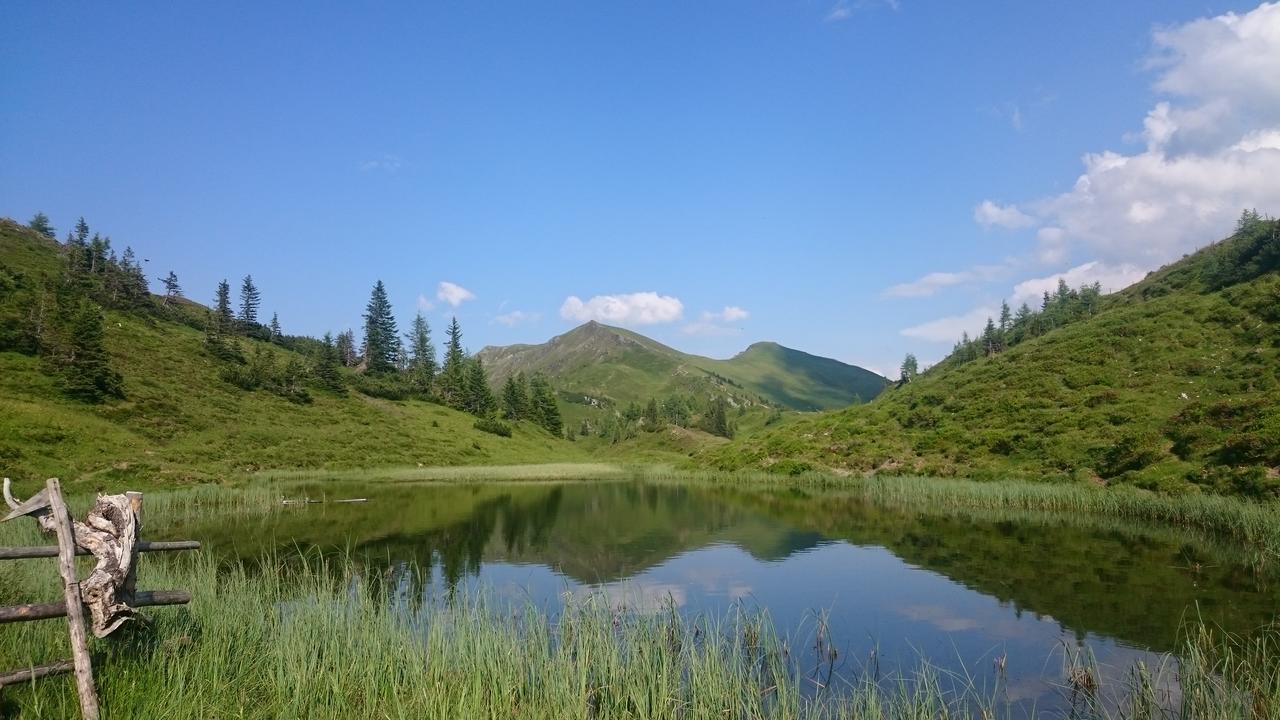 Appartementhaus Unterkofler Grossarl Buitenkant foto