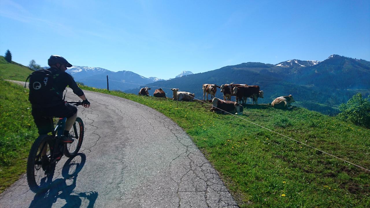 Appartementhaus Unterkofler Grossarl Buitenkant foto